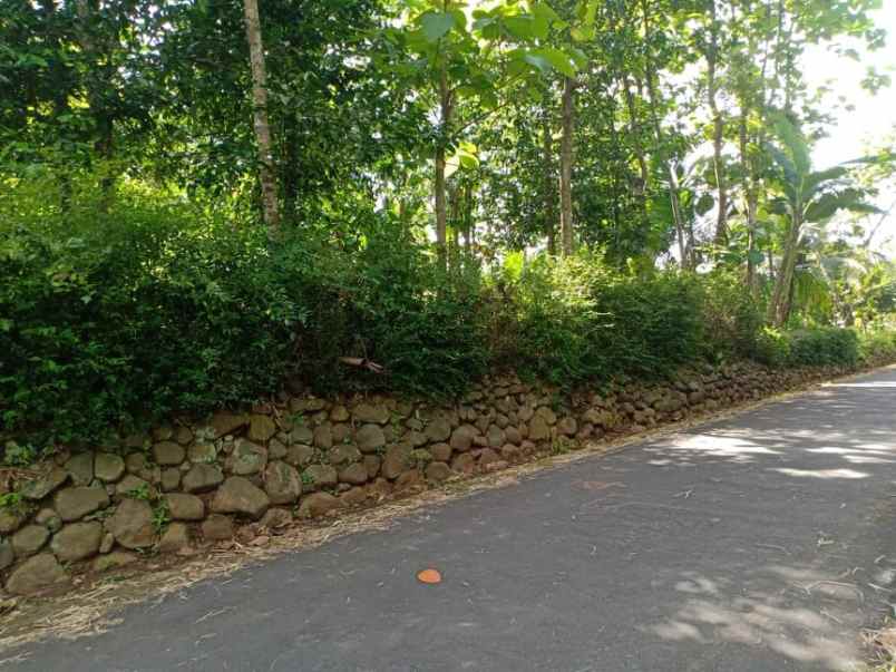 tanah tepi jl raya batujamus