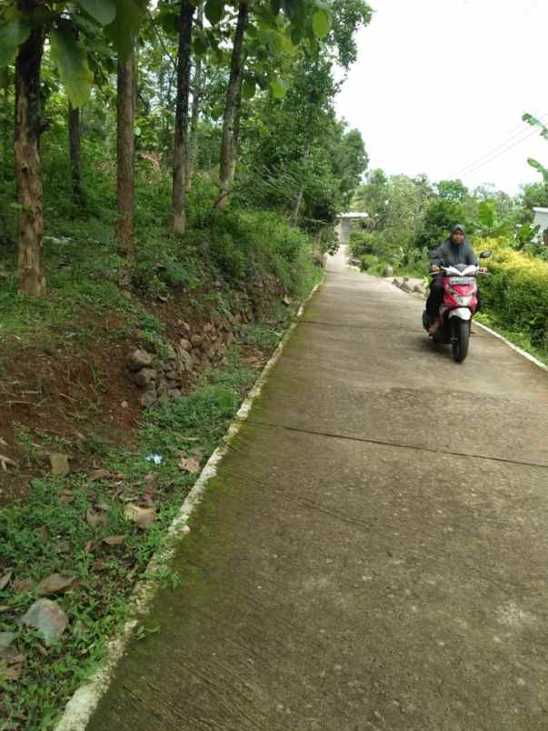 tanah timur lapangan jetis