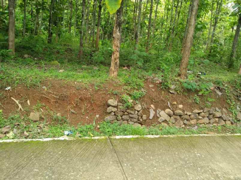 tanah timur lapangan jetis