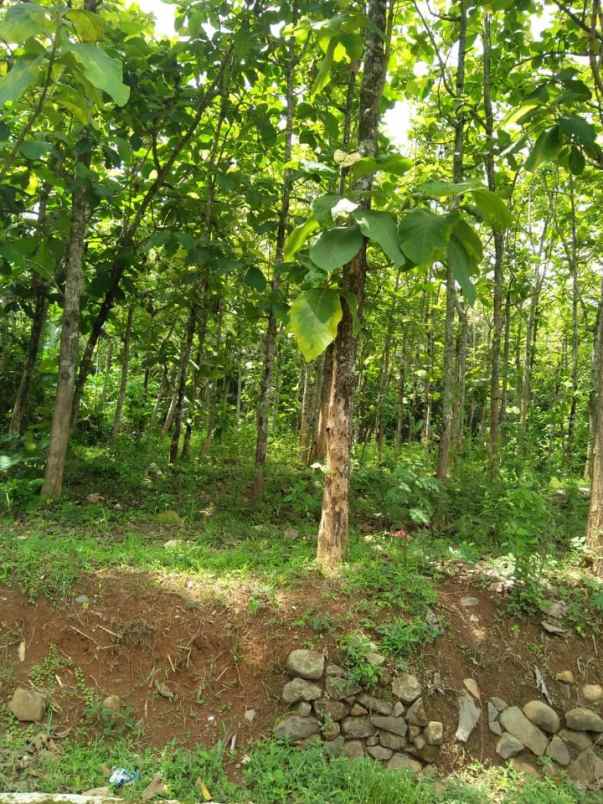 tanah timur lapangan jetis