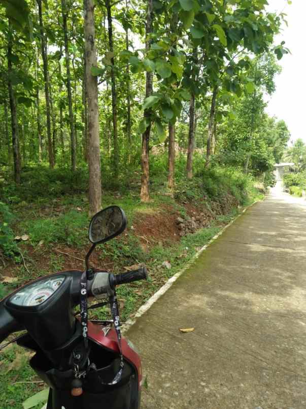 tanah timur lapangan jetis