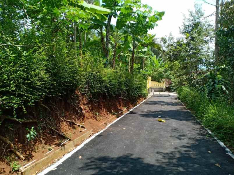 tanah timur pasar mojogedang