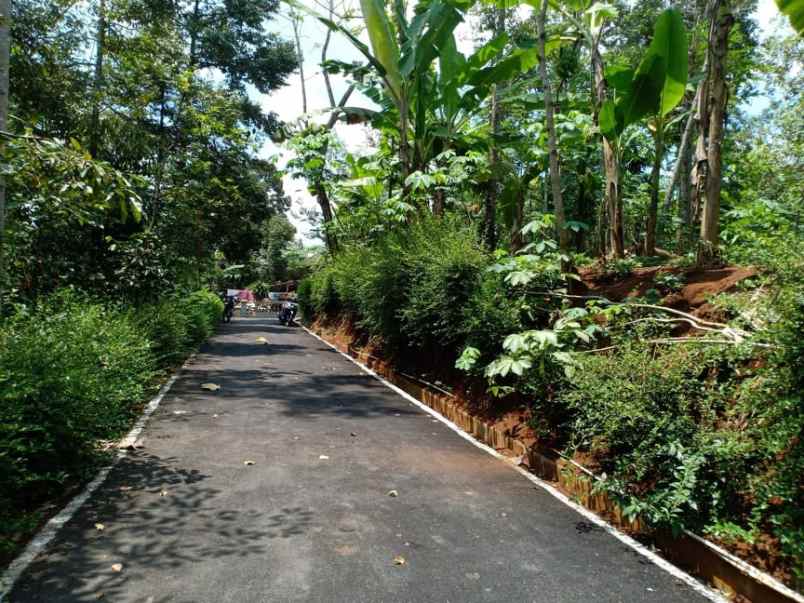 tanah timur pasar mojogedang