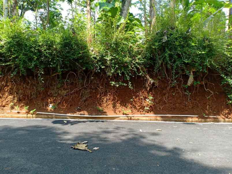 tanah timur pasar mojogedang