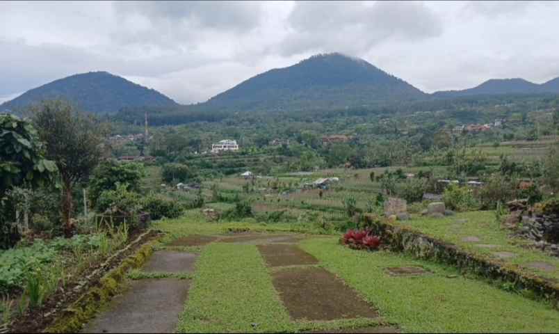 tanah view gunung area bedugul baturiti tabanan bali