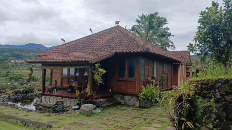 tanah view gunung area bedugul baturiti tabanan bali