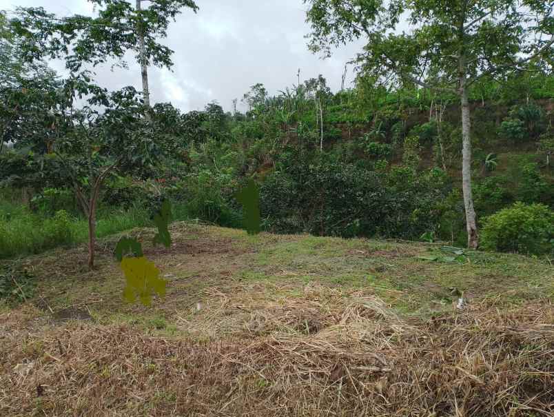 tanah view laut dan lembah di wanagiri singaraja bali