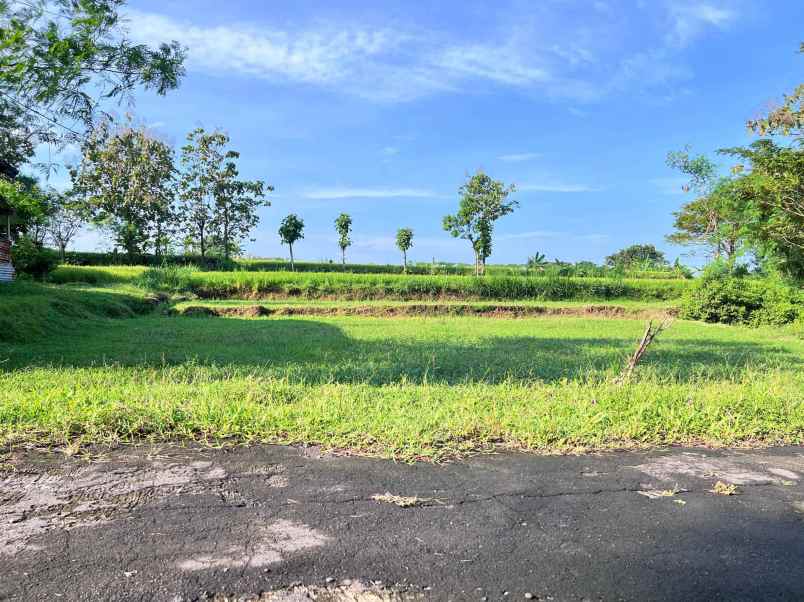 tanah view sawah 792m mojogedang karanganyar