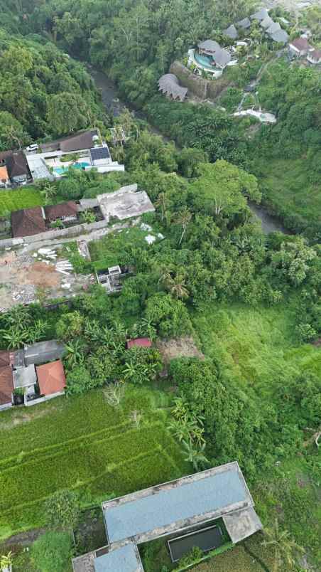tanah view sungai dan jungle di lodtunduh ubud bali