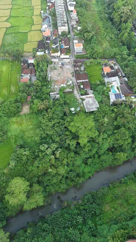 tanah view sungai dan jungle di lodtunduh ubud bali