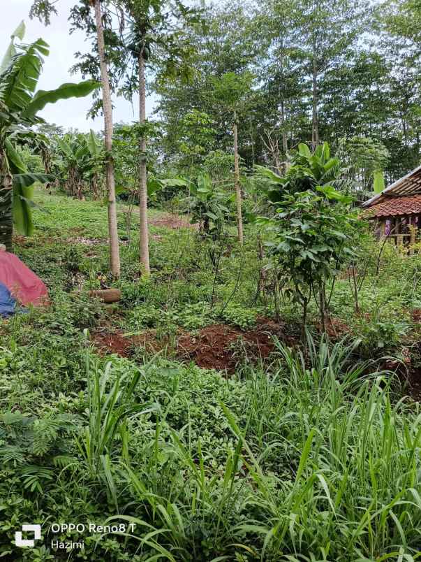 tanah view sunrise and mountain