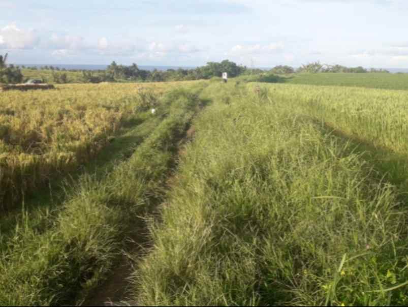 tanah zona pink 600 meter dari pantai kelecung bali