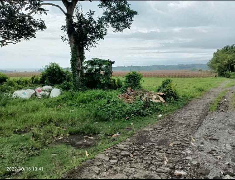tanah zona pink 600 meter dari pantai kelecung bali