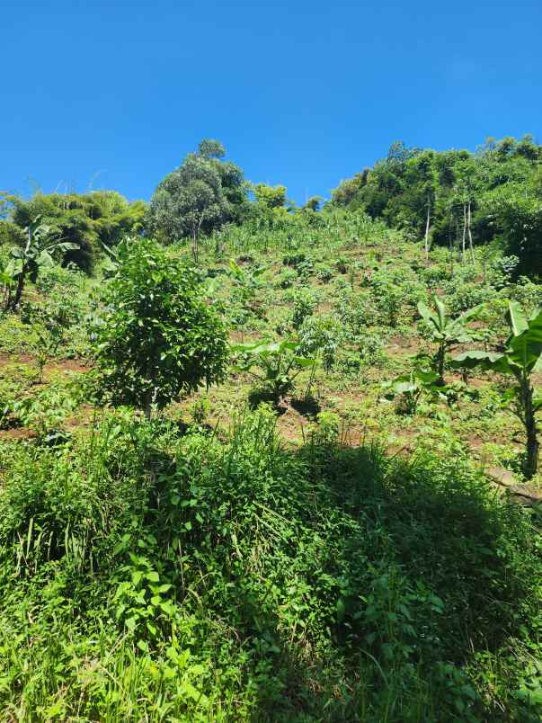 villa dago parahyangan murah