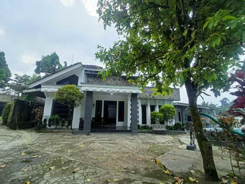 villa murah 1 jutaan puncak harga weekday