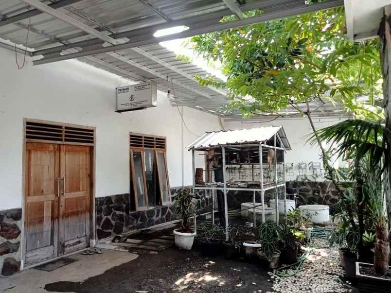 dijual disewakan rumah di sidoarjo