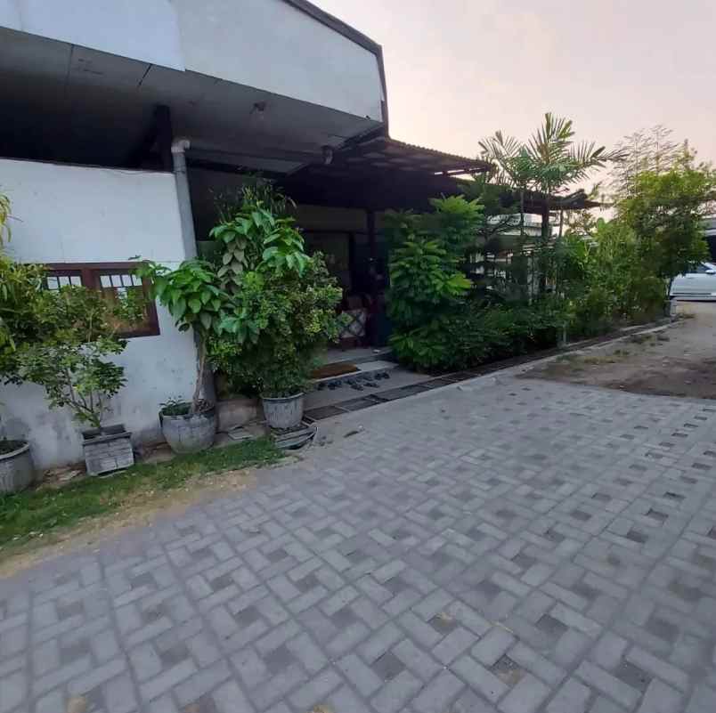 dijual kost raya arief rahman hakim