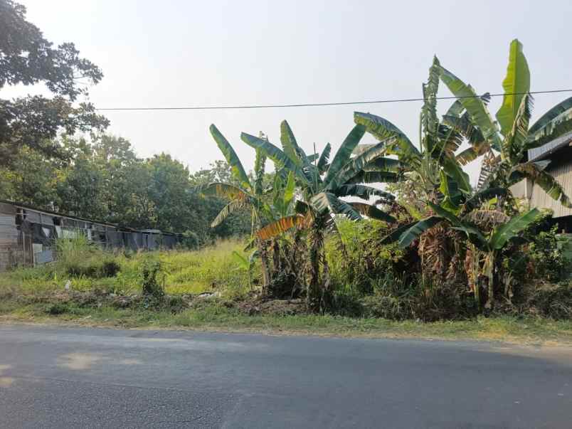 dijual pekarangan siap bangun di kurung ceper klaten