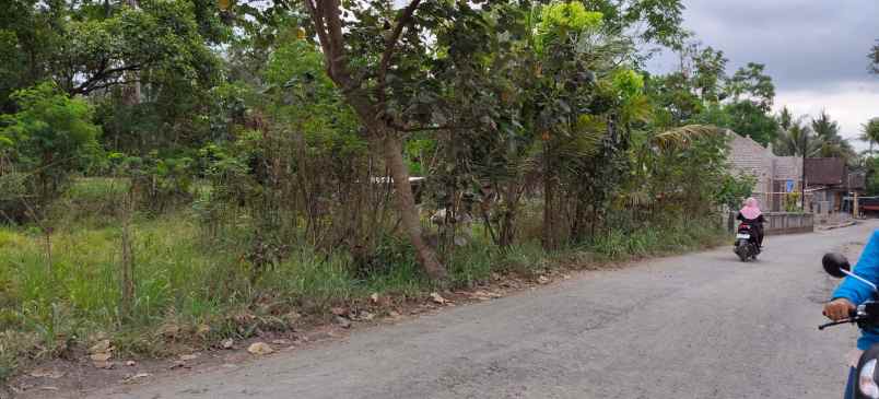 dijual pekarangan sukorini manisrenggo