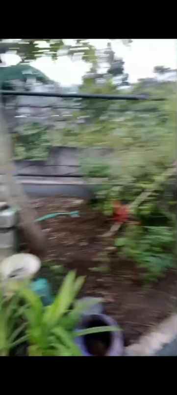 dijual rumah di ranca bungur bogor barat