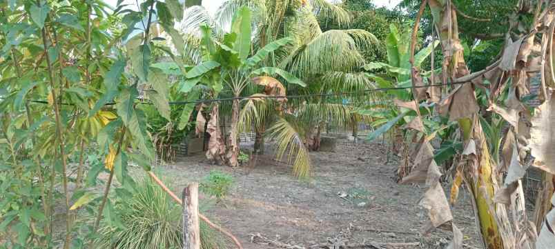 dijual rumah dijual rumah di jln a