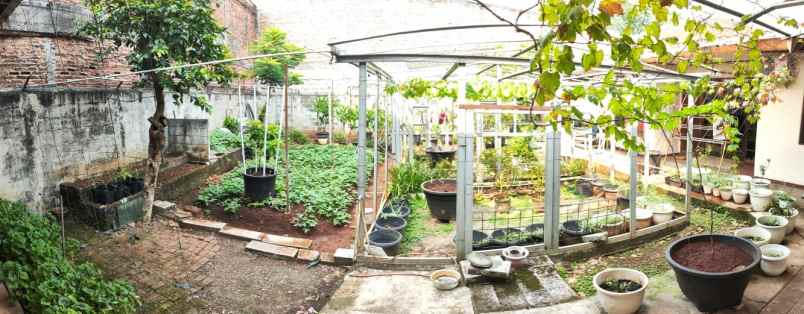 dijual rumah jl margonda raya