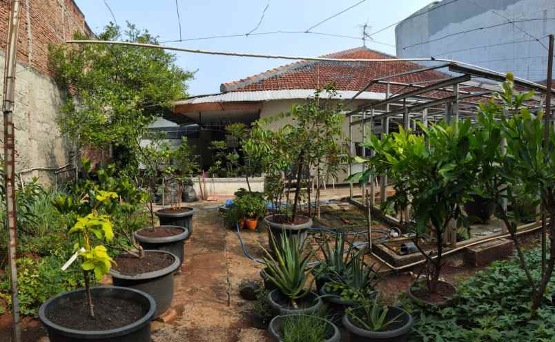 dijual rumah jl margonda raya