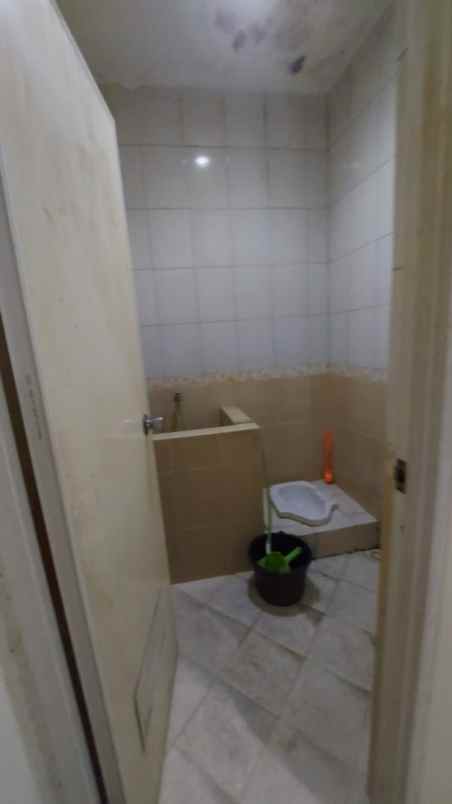 dijual rumah kelapa kopyor kelapa gading