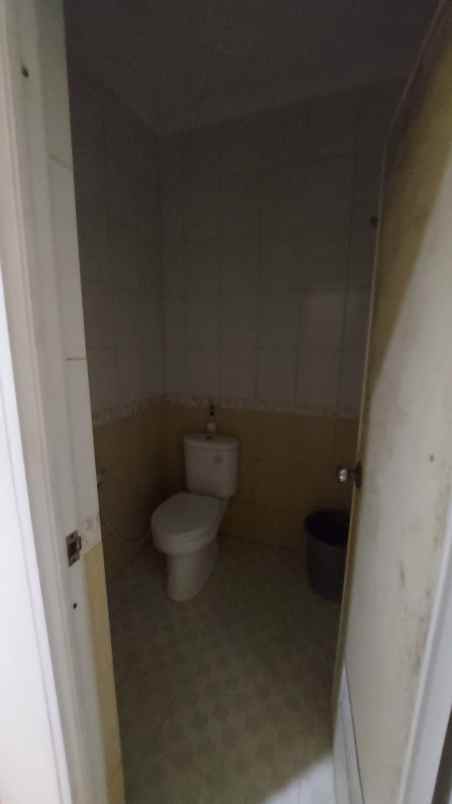 dijual rumah kelapa kopyor kelapa gading