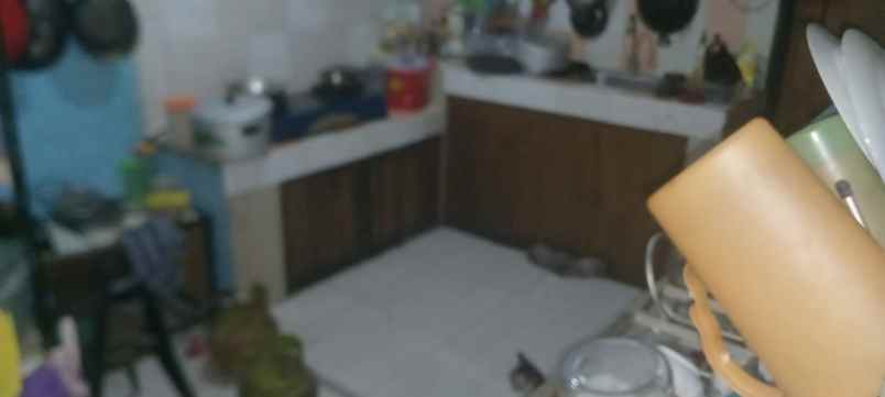 dijual rumah ketintang permai