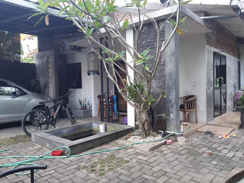 dijual rumah minimalis dekat kantor perhutani jember