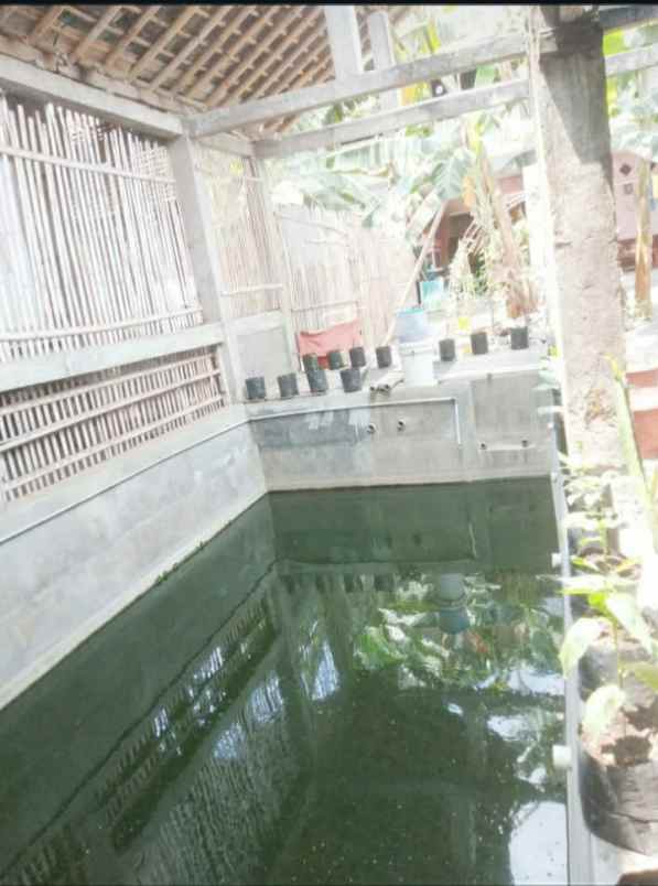 dijual rumah minimalis murah