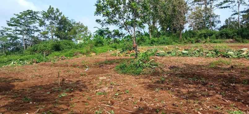 dijual rumah mulawarman