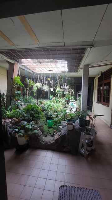 dijual rumah pejompongan