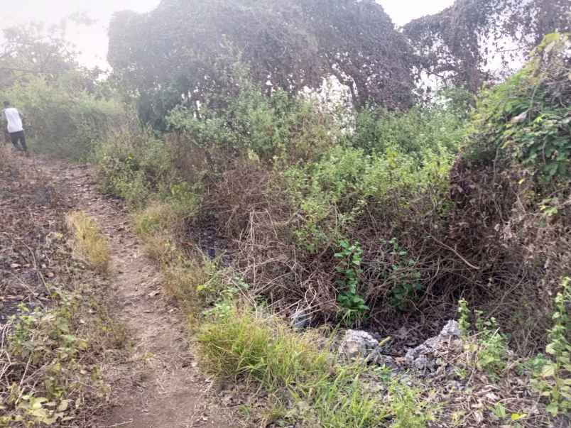 dijual segera tanah pinggir pantai di sumba barat daya