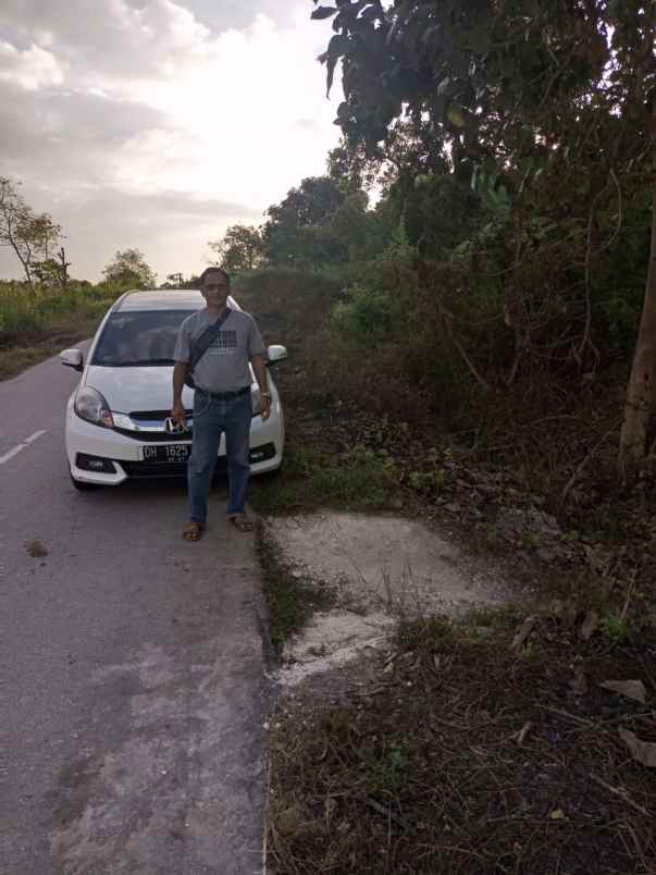 dijual segera tanah pinggir pantai di sumba barat daya