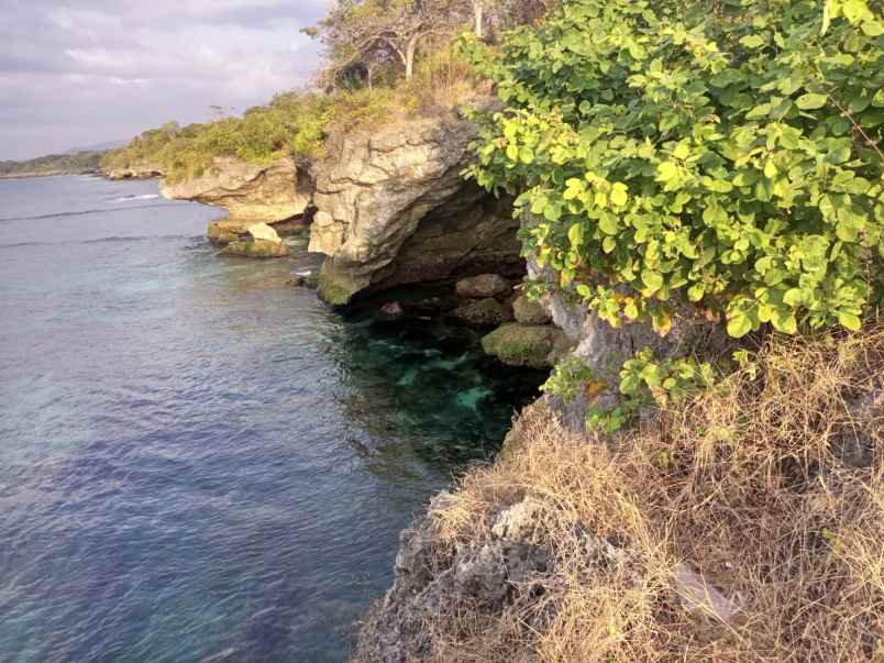dijual segera tanah pinggir pantai di sumba barat daya
