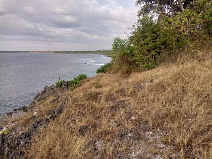 dijual segera tanah pinggir pantai di sumba barat daya