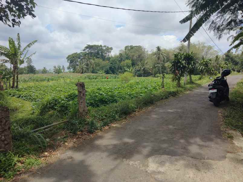 dijual tanah bandorasa kec cilimus