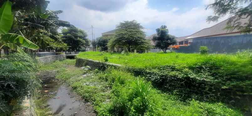 dijual tanah banyuwangi