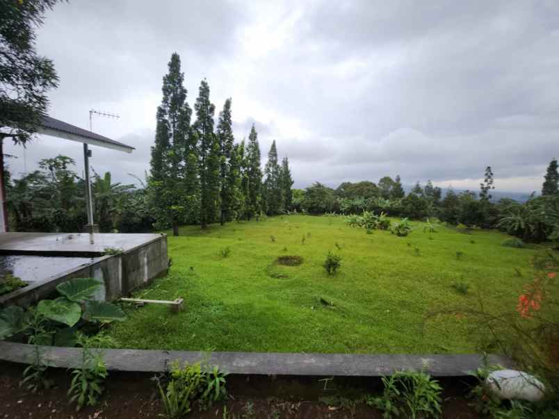 dijual tanah caringin
