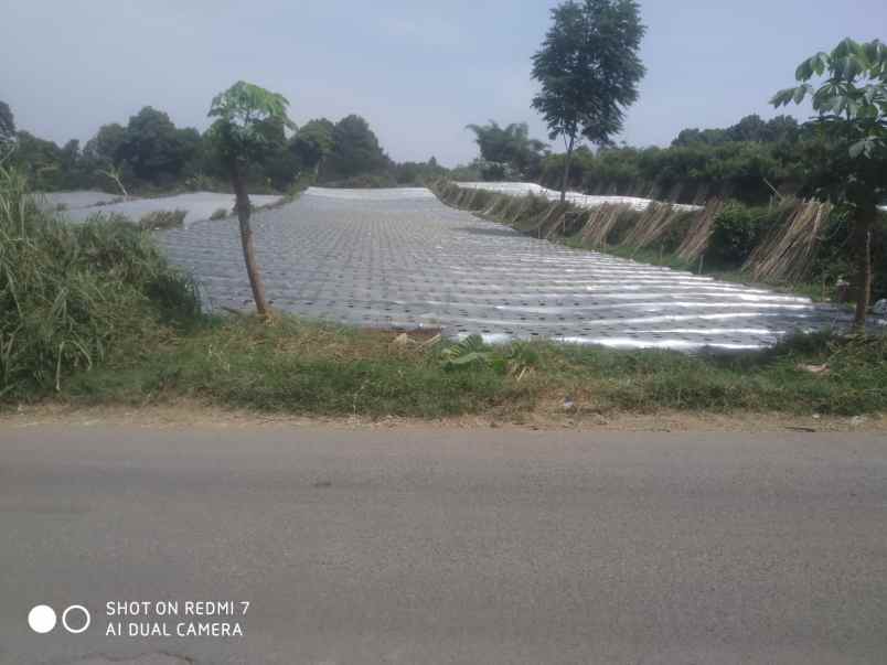 dijual tanah desa paku haji kecamatan