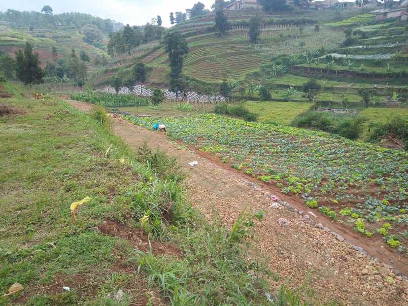 dijual tanah desa paku haji kecamatan