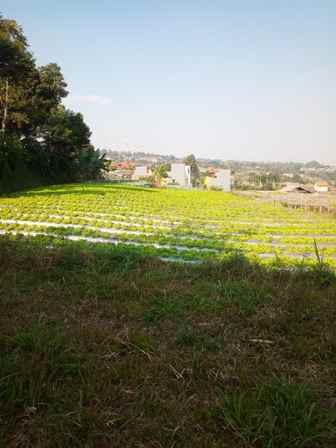 dijual tanah desa pasirhalang kecamatan