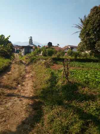 dijual tanah desa pasirhalang kecamatan