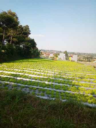 dijual tanah desa pasirhalang kecamatan