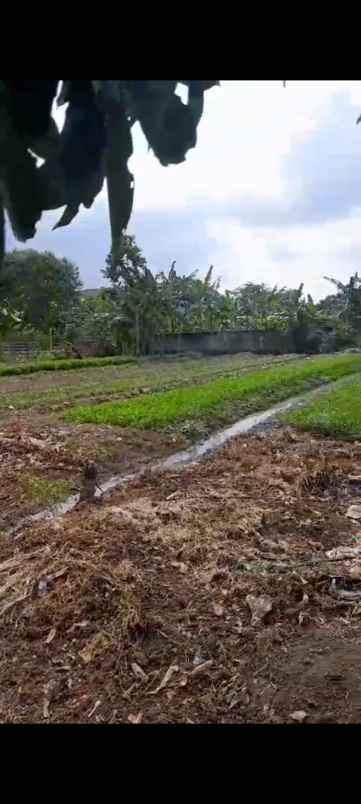 dijual tanah di perumnas 3 aren jaya bekasi timur