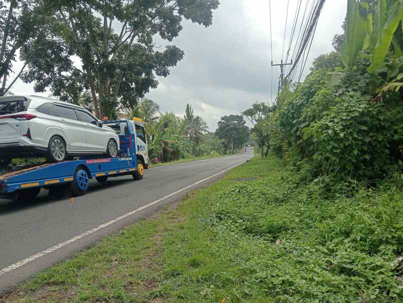 dijual tanah ds antosari kec selemadeg