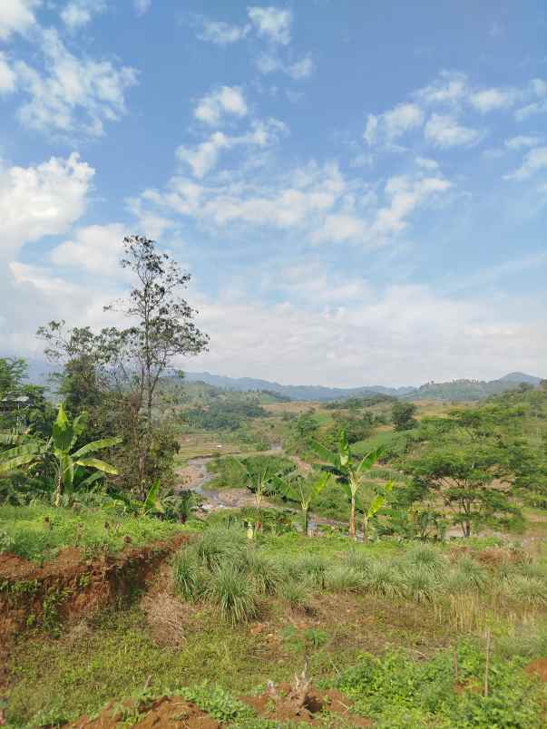 dijual tanah jalan desa pabuaran