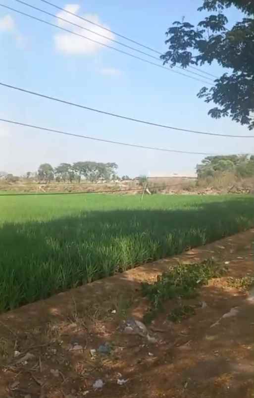 dijual tanah jalan pantura loarang
